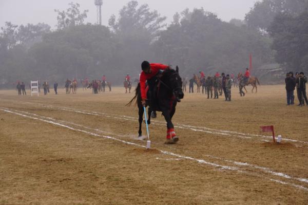 Cadets of 1 PB R & V SQN NCC, Ludhiana, GADVASU, showcased exceptional excellence at the Republic Day Camp Horse Riding Competitions 2026